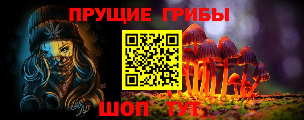 Галлюциногенные грибы ЛСД  Псилоцибиновые грибы Psilocybe  Углич  Вход с VPN 